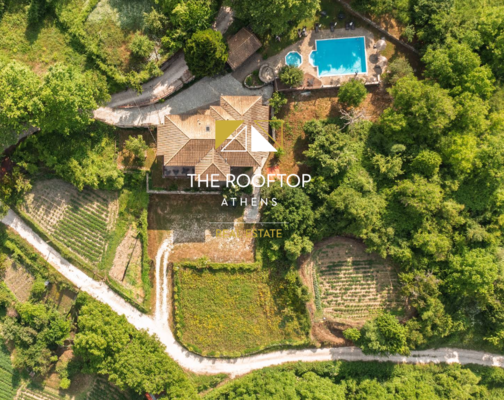 Domnista : Hotel 600 sqm